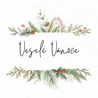 🎄✨ Veselé Vánoce! 🎁❤️ Přejeme Vám klidné a kouzelné svátky plné radosti, lásky a nezapomenutelných chvil s vašimi...